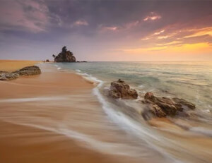 泳池中的挑战，谁将脱颖而出？