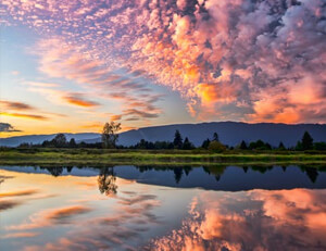 马竞主场大捷，球队整体表现出色