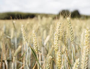 球员风采：采访现场兴奋分享