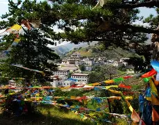 鲁能当召摄包围，兵卫合围考别窟翌村夜落青花的简单介绍